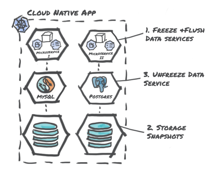 Storage Centric Snapshots with Data Services Hooks